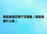 銅盆魚是否屬于深海魚（銅盆魚是什么魚）