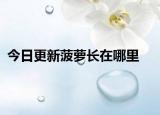 今日更新菠蘿長在哪里