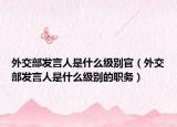 外交部發(fā)言人是什么級(jí)別官（外交部發(fā)言人是什么級(jí)別的職務(wù)）