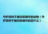 守護森林不被白蟻破壞的動物（守護森林不被白蟻破壞的是什么）