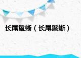 長尾鬣蜥（長尾鬣蜥）