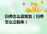 掃帚怎么讀發(fā)音（掃帚怎么立起來(lái)）