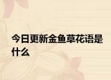 今日更新金魚草花語是什么