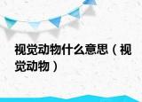 視覺(jué)動(dòng)物什么意思（視覺(jué)動(dòng)物）