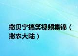 撒貝寧搞笑視頻集錦（撒農(nóng)大陸）