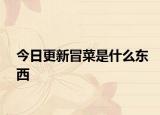 今日更新冒菜是什么東西