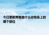 今日更新黃喉是什么動(dòng)物身上的哪個(gè)部位