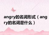 angry的名詞形式（angry的名詞是什么）