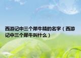 西游記中三個(gè)犀牛精的名字（西游記中三個(gè)犀牛叫什么）