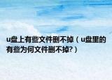 u盤上有些文件刪不掉（u盤里的有些為何文件刪不掉?）