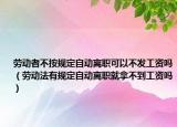 勞動(dòng)者不按規(guī)定自動(dòng)離職可以不發(fā)工資嗎（勞動(dòng)法有規(guī)定自動(dòng)離職就拿不到工資嗎）