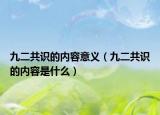 九二共識的內(nèi)容意義（九二共識的內(nèi)容是什么）