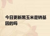 今日更新黑玉米是轉(zhuǎn)基因的嗎