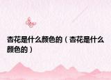 杏花是什么顏色的（杏花是什么顏色的）