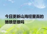 今日更新山海經(jīng)里面的馳狼是狼嗎