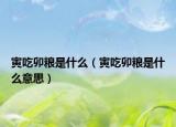 寅吃卯糧是什么（寅吃卯糧是什么意思）