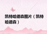 凱特哈德森圖片（凱特哈德森）
