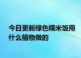 今日更新綠色糯米飯用什么植物做的