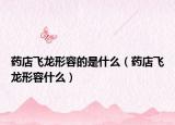 藥店飛龍形容的是什么（藥店飛龍形容什么）