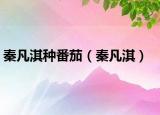 秦凡淇種番茄（秦凡淇）