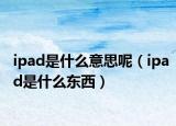 ipad是什么意思呢（ipad是什么東西）