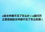 u盤文件都不見了怎么辦（u盤打開之后里面的文件都不見了怎么處理）
