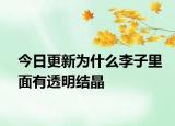 今日更新為什么李子里面有透明結(jié)晶