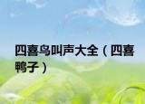 四喜鳥(niǎo)叫聲大全（四喜鴨子）
