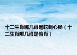 十二生肖哪幾肖是蛇蝎心腸（十二生肖哪幾肖是偷肖）