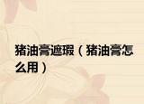 豬油膏遮瑕（豬油膏怎么用）