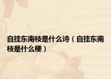 自掛東南枝是什么詩（自掛東南枝是什么梗）