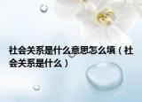 社會(huì)關(guān)系是什么意思怎么填（社會(huì)關(guān)系是什么）