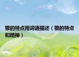 狼的特點(diǎn)用詞語(yǔ)描述（狼的特點(diǎn)和精神）