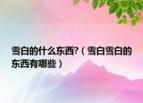 雪白的什么東西?（雪白雪白的東西有哪些）