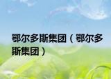 鄂爾多斯集團(tuán)（鄂爾多斯集團(tuán)）