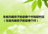 生蠔殼建房子的是哪個(gè)村螞蟻村莊（生蠔殼建房子的是哪個(gè)村）