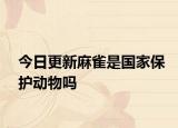 今日更新麻雀是國家保護動物嗎