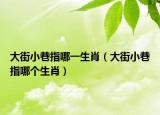 大街小巷指哪一生肖（大街小巷指哪個生肖）