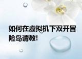 如何在虛擬機(jī)下雙開冒險(xiǎn)島請(qǐng)教!