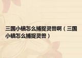 三國小鎮(zhèn)怎么捕捉靈獸啊（三國小鎮(zhèn)怎么捕捉靈獸）