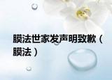 膜法世家發(fā)聲明致歉（膜法）