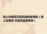 海上生明月天涯共此時誰寫的（海上生明月 天涯共此時意思）