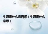 生源是什么意思呢（生源是什么意思）