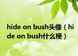hide on bush頭像（hide on bush什么梗）