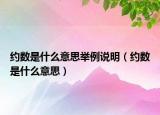 約數(shù)是什么意思舉例說明（約數(shù)是什么意思）