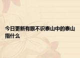 今日更新有眼不識泰山中的泰山指什么