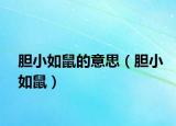 膽小如鼠的意思（膽小如鼠）