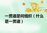 一貫道是何組織（什么是一貫道）