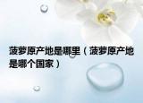 菠蘿原產(chǎn)地是哪里（菠蘿原產(chǎn)地是哪個國家）