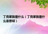 丁克家族是什么（丁克家族是什么意思呀）